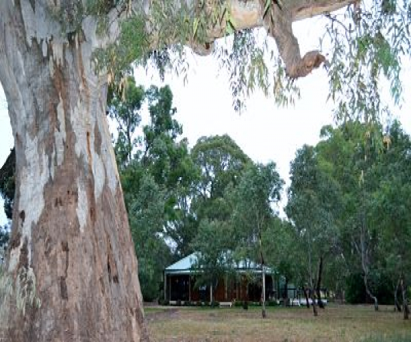 McLaren Vale Region