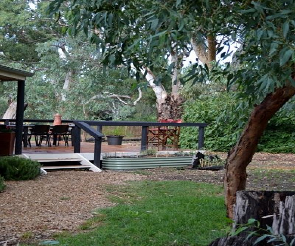 Garden of Guest Lounge at Mclaren Vale