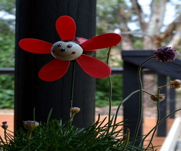 Flower at Guest Lounge at Mclaren Vale